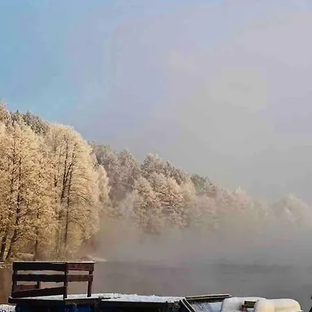 Kaszubska Lawenda żuromino, Nr 2 *