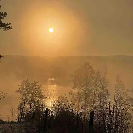 Kaszubska Lawenda Zuromino, Nr 2 * Żuromin