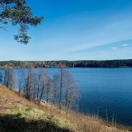 Kaszubska Lawenda Zuromino, Nr 2 Żuromin