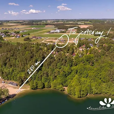 Kaszubska Lawenda żuromino, Nr 2 *